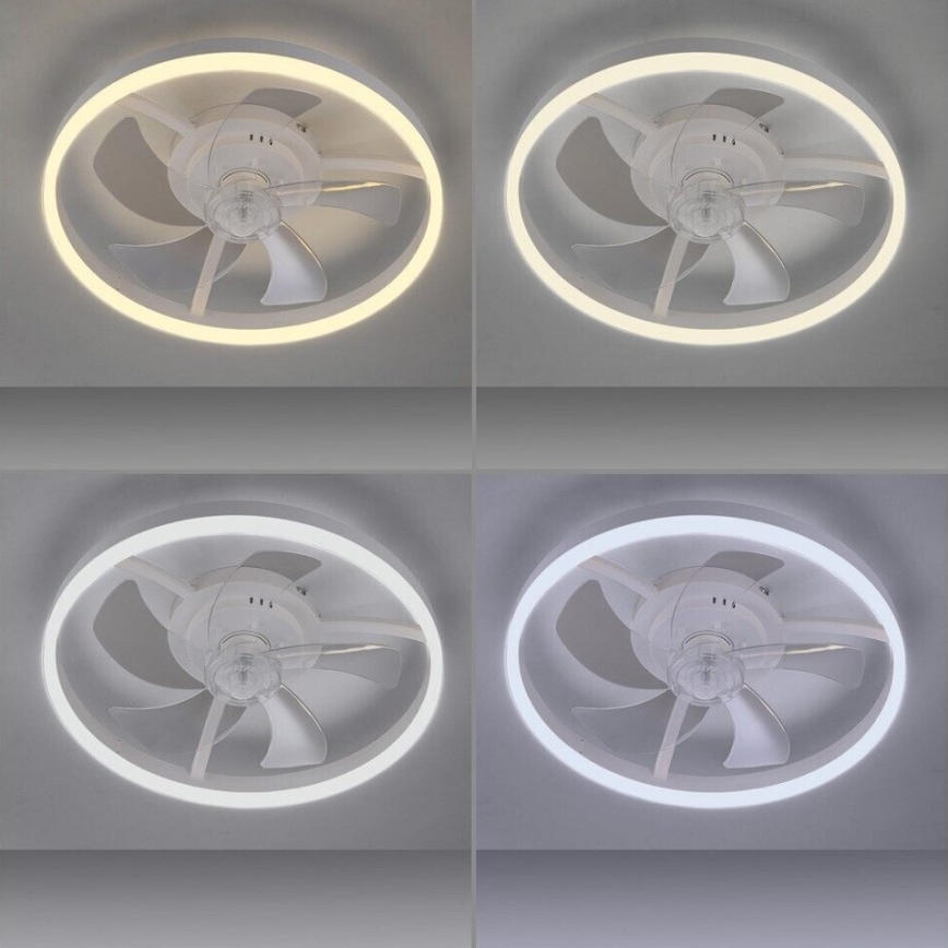 JUST LIGHT. 14624-16 - Ventilateur de plafond dimmable LED avec éclairage RITA LED/22W/230V 3000-6000K Ø 50 cm blanc + télécommande