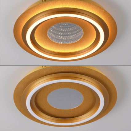 JUST LIGHT. 15089-60 - Plafonnier LED CICHIO LED/36W/230V Ø 40 cm doré