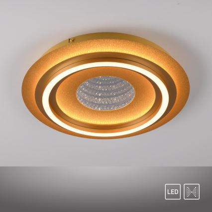 JUST LIGHT. 15089-60 - Plafonnier LED CICHIO LED/36W/230V Ø 40 cm doré