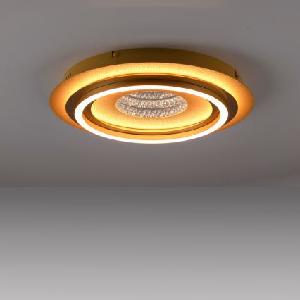 JUST LIGHT. 15089-60 - Plafonnier LED CICHIO LED/36W/230V Ø 40 cm doré