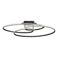 JUST LIGHT. 15321-18 - Plafonnier LUMACA LED/33W/230V noir