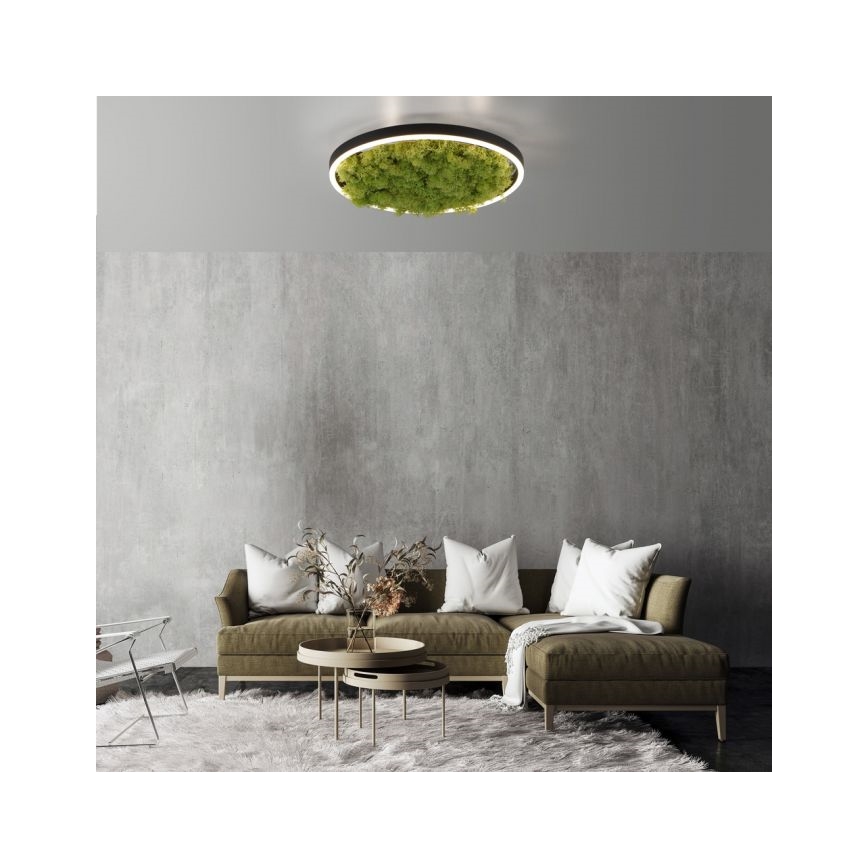 JUST LIGHT. 15391-66 - Plafonnier à intensité variable VERT RITU LED/20W/230V
