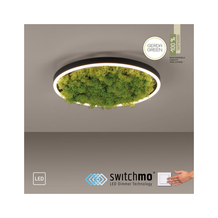 JUST LIGHT. 15391-66 - Plafonnier à intensité variable VERT RITU LED/20W/230V