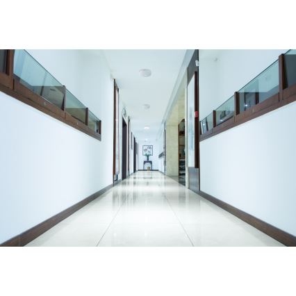 Plafonnier LED avec détecteur de mouvement et détecteur crépusculaire FOGLER LED/17W/230V Ø 33 cm