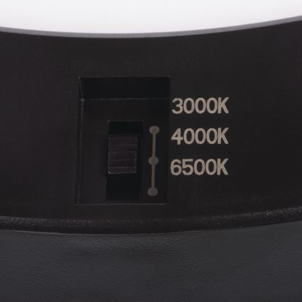 Plafonnier/ spot encastrable avec détecteur de mouvement 2en1 ERGA LED/17W/230V 3000/4000/6500K noir
