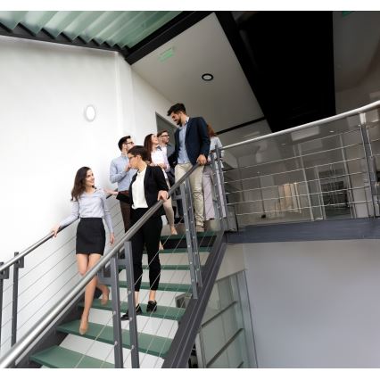 Plafonnier/ spot encastrable avec détecteur de mouvement 2en1 ERGA LED/17W/230V 3000/4000/6500K noir