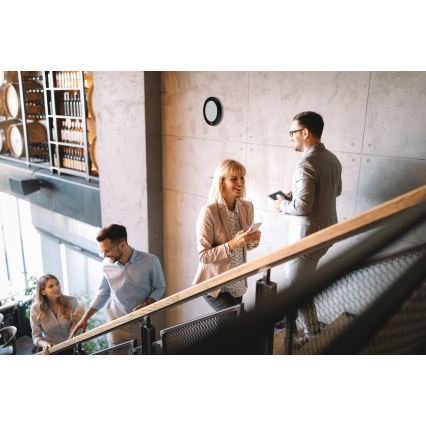 Luminaire de plafond/encastrable 2 en 1 ERGA LED/17W/230V 3000/4000/6500K noir