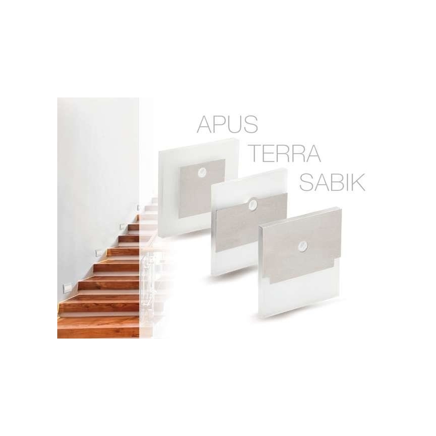 Spot d'escalier LED avec détecteur LED/0,8W/12V 6500K