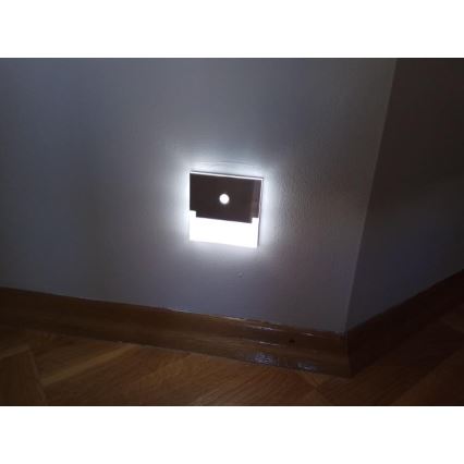 Spot d'escalier LED avec détecteur LED/0,8W/12V 6500K