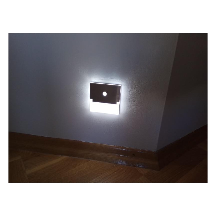 Spot d'escalier LED avec détecteur LED/0,8W/12V 6500K