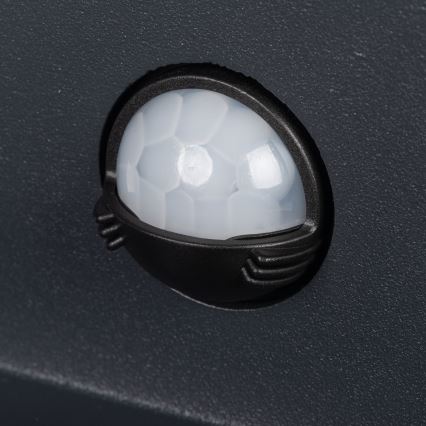 Applique murale d'extérieur avec détecteur REKA LED/7W/230V IP54, anthracite au design carré