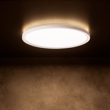 Plafonnier LED AZPO 22W/230V 3000/4000/6000K Ø 42 cm IP54 blanc