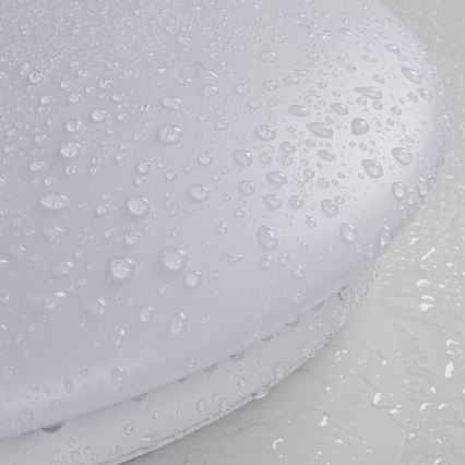 Plafonnier LED pour salle de bains avec détecteur de mouvement et détecteur crépusculaire CORSO LED/24W/230V 3000/4000/6500 K Ø 38 cm IP44