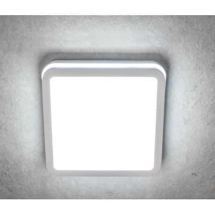 Plafonnier LED extérieur avec capteur BENO LED/18W/230V 4000K blanc IP54