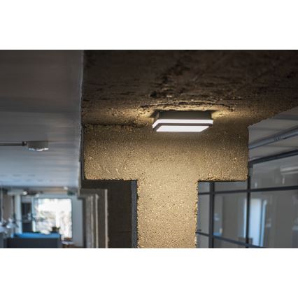 Luminaire LED extérieur avec détecteur BENO LED/18W/230V 4000K IP54 anthracite