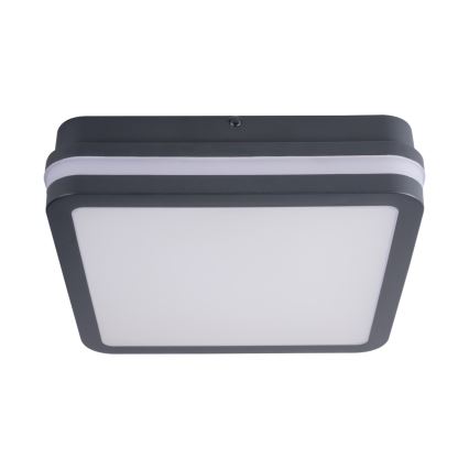 Luminaire LED extérieur avec détecteur BENO LED/18W/230V 4000K IP54 anthracite