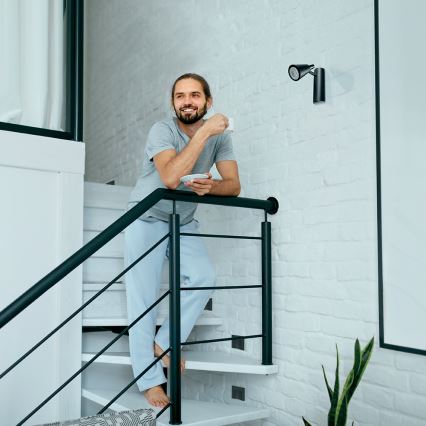 Luminaire LED pour escalier ERINUS LED/0,8W/12V 3000K noir