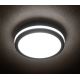 Plafonnier LED extérieur BENO LED/24W/230V 4000K IP54 Anthracite