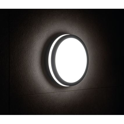 Plafonnier LED extérieur BENO LED/24W/230V 4000K IP54 Anthracite