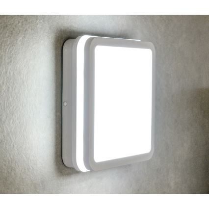 Plafonnier LED extérieur avec détecteur BENO LED/24W/230V 4000K IP54 blanc