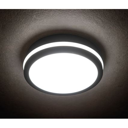 Plafonnier LED extérieur BENO LED/18W/230V 4000K anthracite IP54