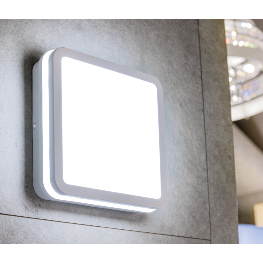 Luminaire LED BENO LED/18W/230V 3000K blanc IP54