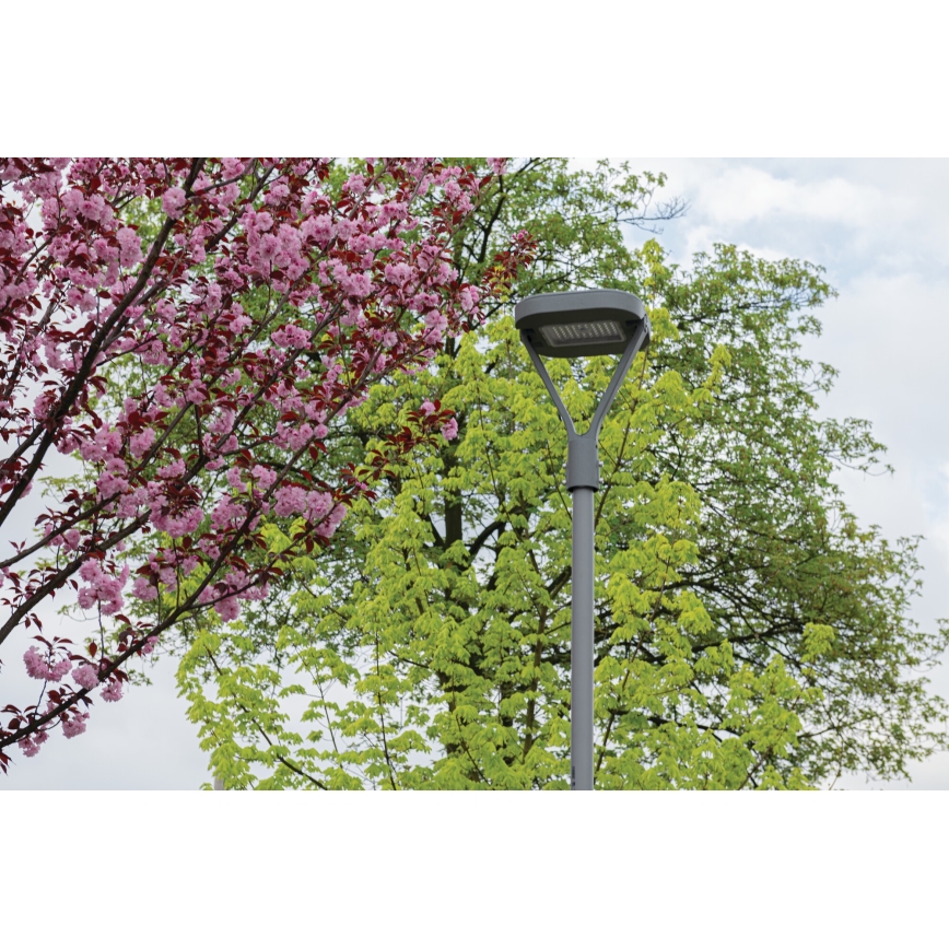 Lampadaire PARCOLI LED/30/40/50W/230V 3000/4000/6500K IP66 gris
