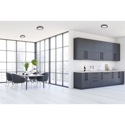 Plafonnier extérieur BENO E LED/20W/230V 3000/4000/6500K d. 20 cm IP65 noir