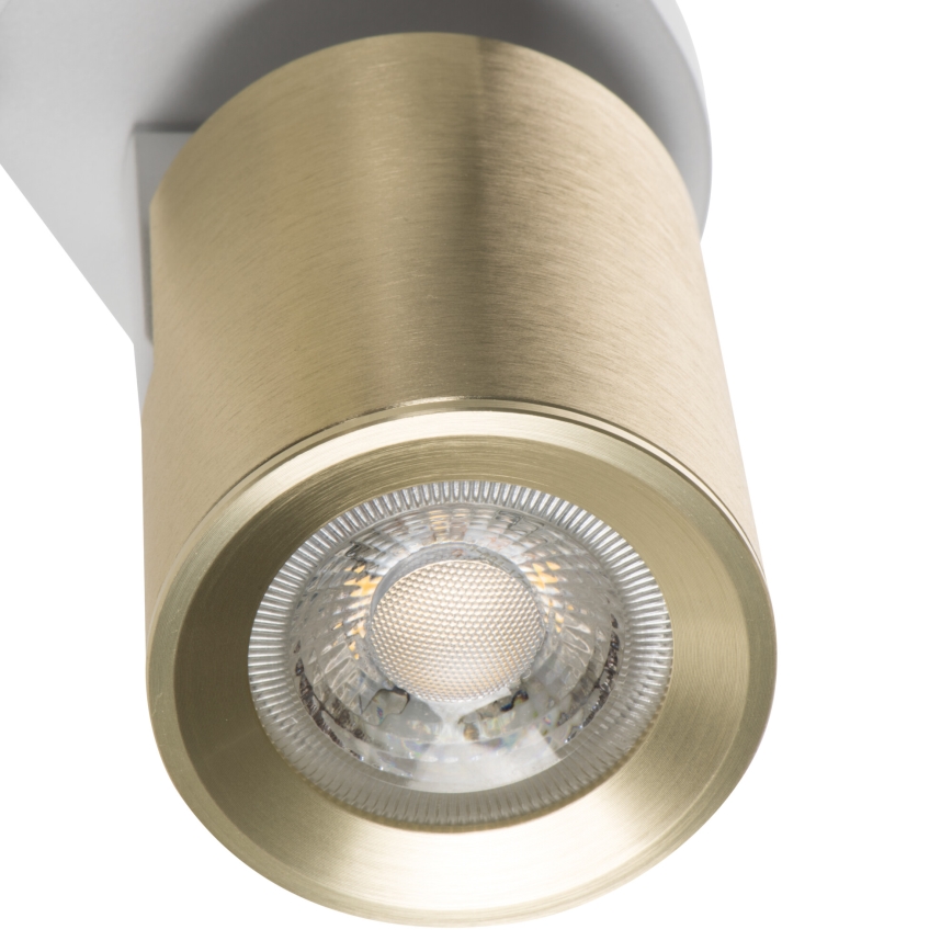 Spot LAURIN 3xGU10/10W/230V laiton/blanc