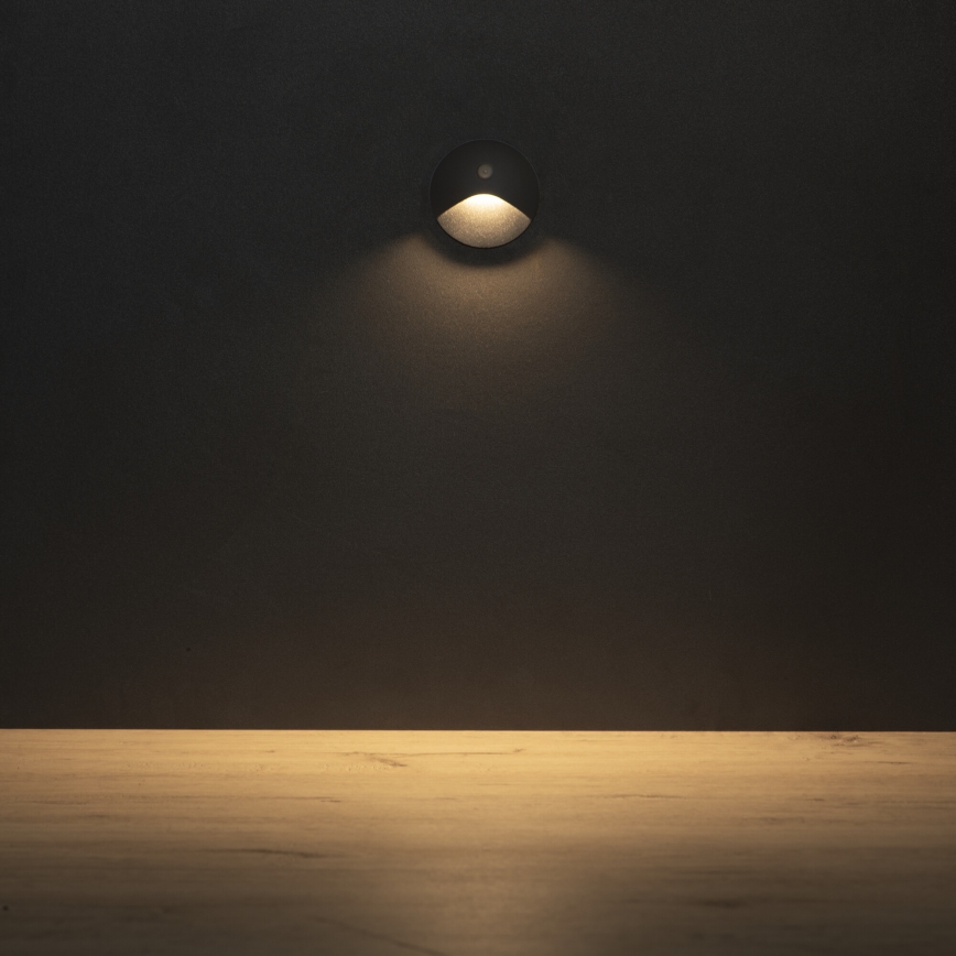 Luminaire LED pour escalier avec détecteur de mouvement et détecteur crépusculaire EXIN LED/2,5W/230V 3000K IP65 anthracite rond