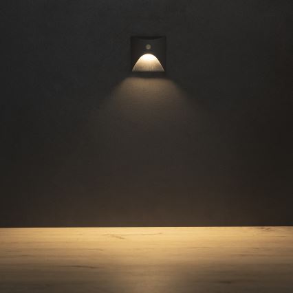 Luminaire LED pour escalier avec détecteur de mouvement et capteur crépusculaire EXIN LED/2,5W/230V 3000K IP65 anthracite carré