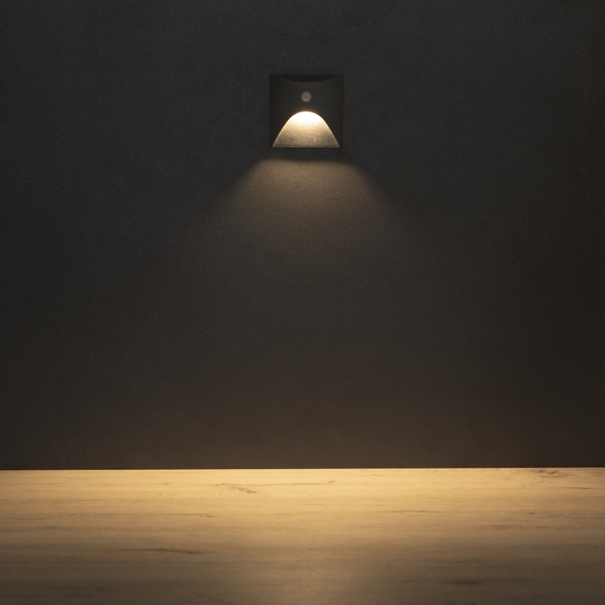 Luminaire LED pour escalier avec détecteur de mouvement et capteur crépusculaire EXIN LED/2,5W/230V 3000K IP65 anthracite carré