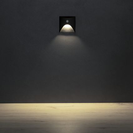 Luminaire LED pour escalier avec détecteur de mouvement et capteur crépusculaire EXIN LED/2,5W/230V 4000K IP65 noir carré
