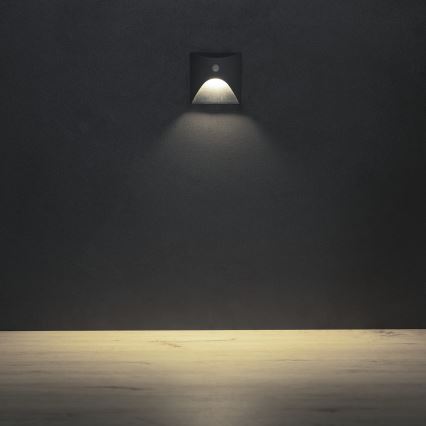 Luminaire d'escalier LED EXIN 2,5W/230V 4000K IP65 anthracite angulaire avec détecteur de mouvement et capteur crépusculaire