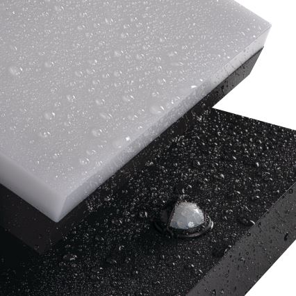 Applique murale d'extérieur LED avec détecteur de mouvement et capteur crépusculaire XERTO LED/20W/230V 3000/4000/6500K IP44 noir