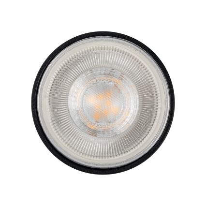 Spot pour système de rail ALTEAR 2xGU10/10W/230V 1m noir