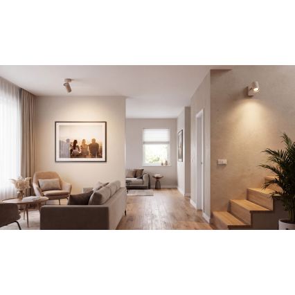 Applique murale spot EVALO 1xGU10/10W/230V beige/doré