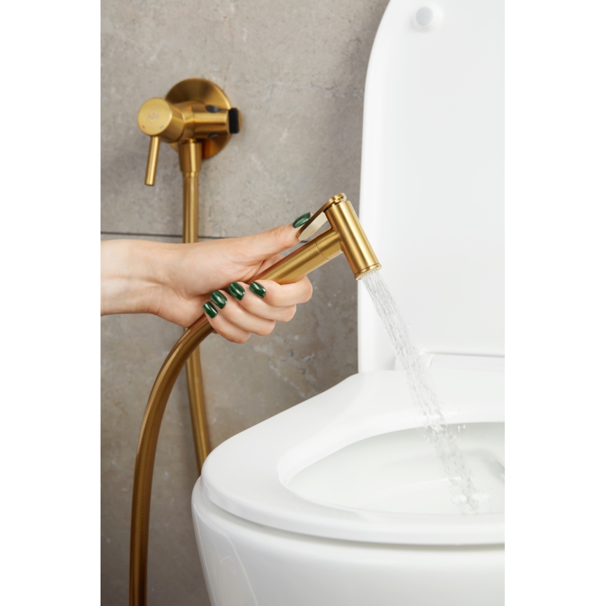 KFA Armatura 5039-512-31 - Robinet de bidet avec douchette pour installation encastrée MOZA poli doré