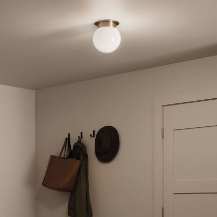 Kichler KL-ALBERS-F-G-CPZ-Plafonnier ALBERS 1xE27/40W/230V Ø 20,3 cm doré