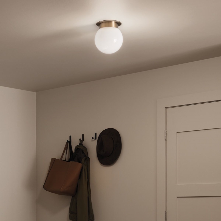 Kichler KL-ALBERS-F-G-CPZ-Plafonnier ALBERS 1xE27/40W/230V Ø 20,3 cm doré