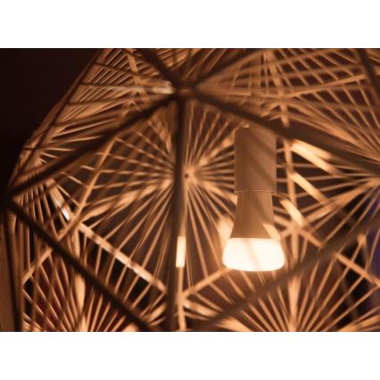 Kit de démarrage Philips Hue WHITE AMBIANCE 2xE27/8W/230V + pont Hue et télécommande variateur