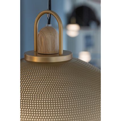 Suspension filaire GRAVEN 1xE27/11W/230V doré