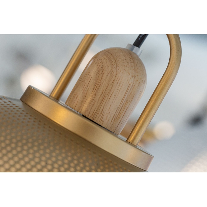 Suspension filaire GRAVEN 1xE27/11W/230V doré