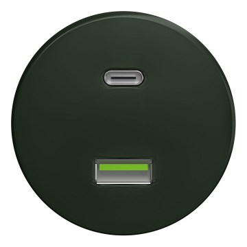 Kliklap - Prise USB rétro A+C sans cadre vert