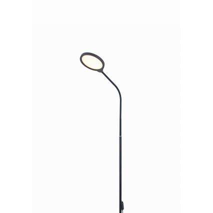 Lampadaire à intensité variable 2en1 LED/10W/230V 3000-4500-6500K noir