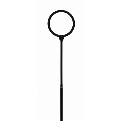Lampadaire à intensité variable 2en1 LED/10W/230V 3000-4500-6500K noir