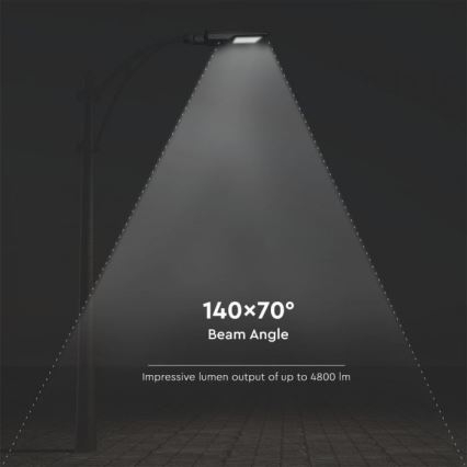 Lampadaire avec détecteur LED/40W/9,6V IP65 6000K + Télécommande