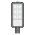 Lampadaire LED/50W/230V 6500K IP65 gris