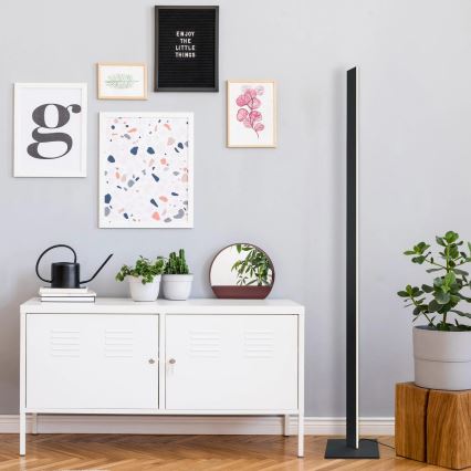 Lampadaire LED BERNADETTA, 28 W, 230 V, 4000 K, noir