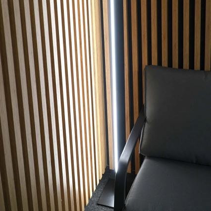 Lampadaire LED BERNADETTA, 28 W, 230 V, 4000 K, noir